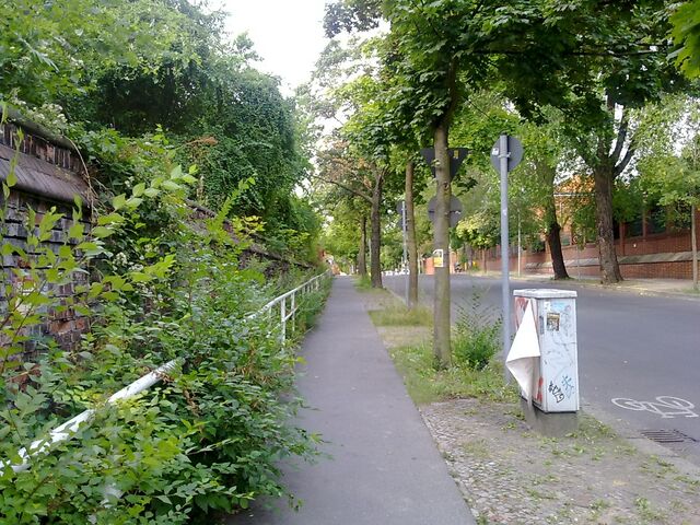 Datei:Bild 3 Liesenstraße Asphalt.jpg