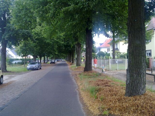 Datei:Bild 3 Straße Finkenkruger Weg.jpg