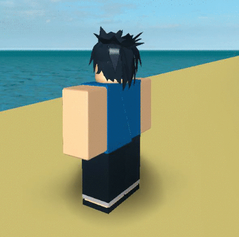 File:Combat.gif