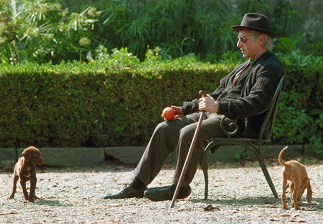 Ficheiro:Old Michael.png