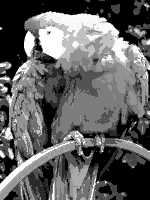 Demo