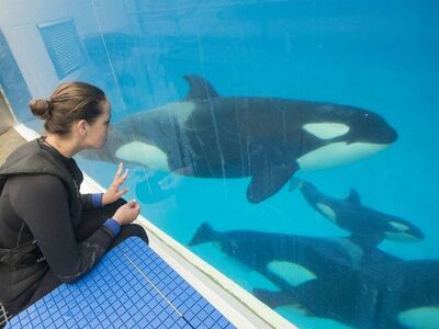 Kalia's calf 3