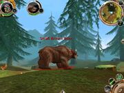 Order chaos bear