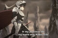 Thumbnail for version as of 21:24, June 13, 2013