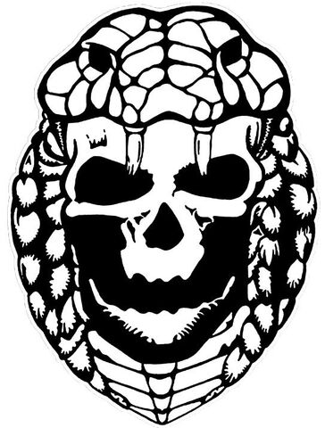 File:Cobraskullslogo.jpg