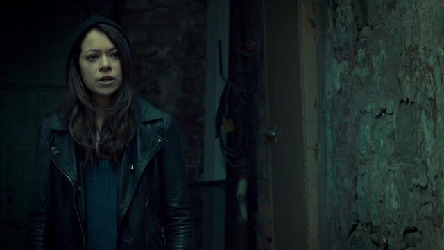 File:OrphanBlackS01E07-1989.jpg