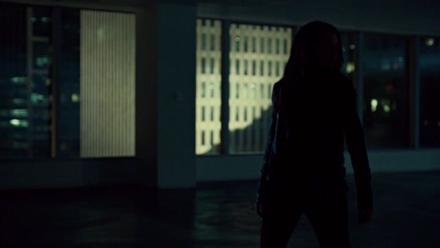 File:OrphanBlackS01E10 0800.jpg