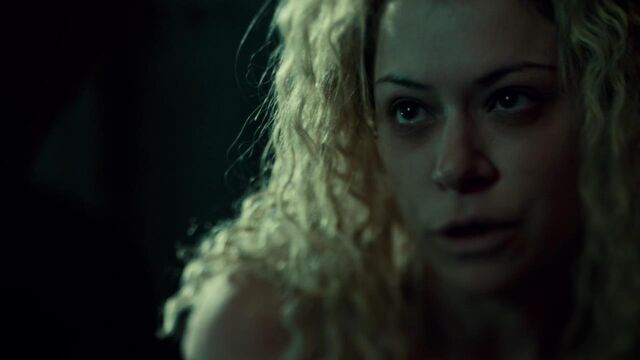 File:OrphanBlackS01E07-0560.jpg
