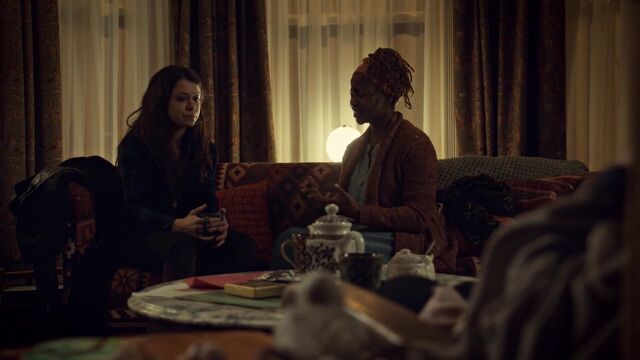 File:OrphanBlackS01E092448.jpg