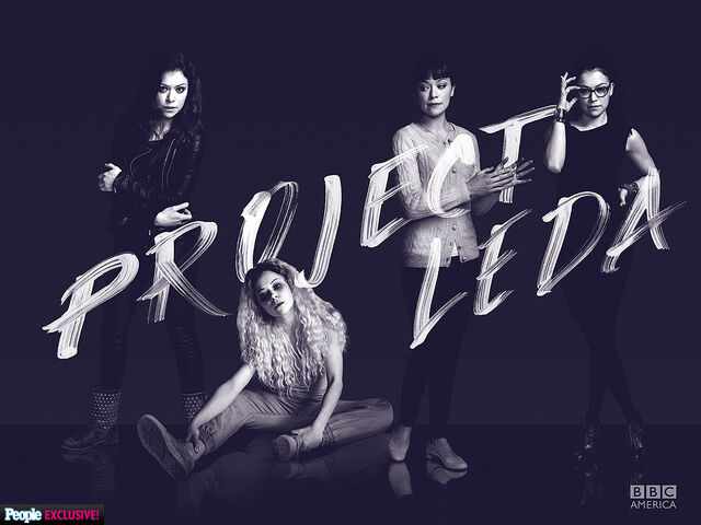 File:Orphan-black-2-1024.jpg