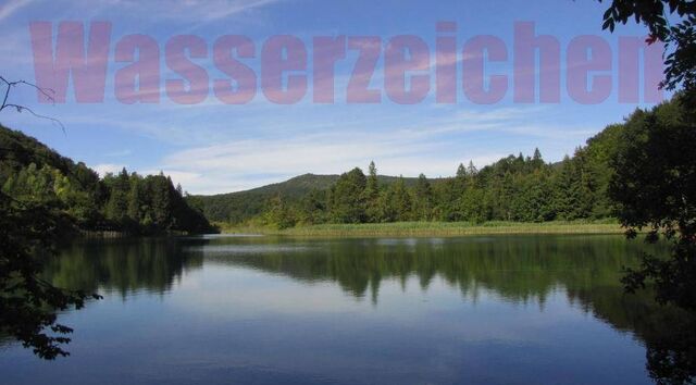 Datei:Wasserzeichen01.jpg