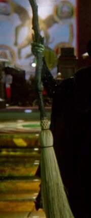 Broomstick1