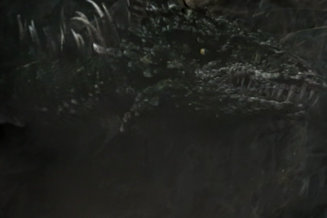 File:Dragon.png
