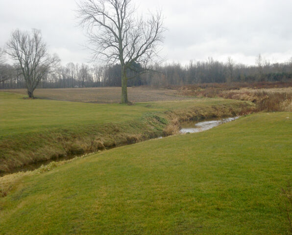 File:Branch creek.jpg