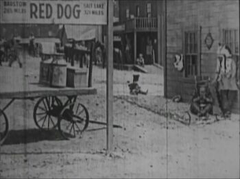 Red Dog