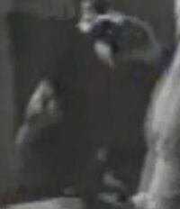 Pete3