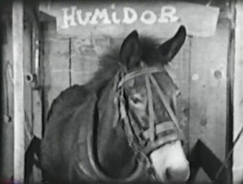 Humidor