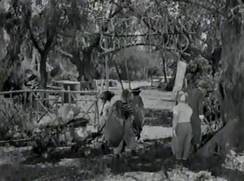 Geyser Springs