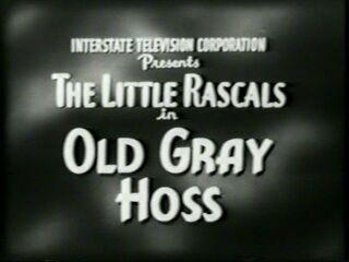 Ol' Gray Hoss 1928
