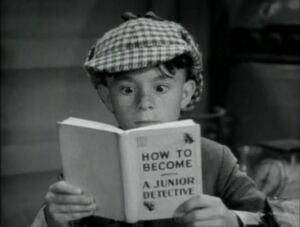 JuniorDetective