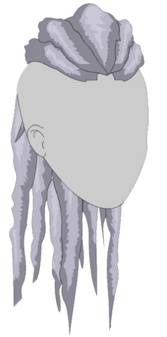 File:Borg Hair.png