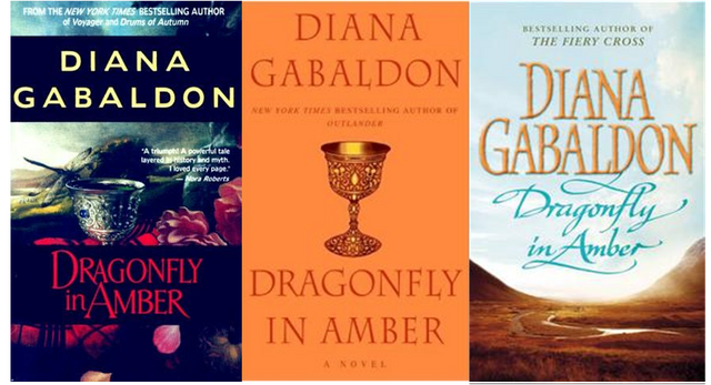 File:Dragonfly in amber.png