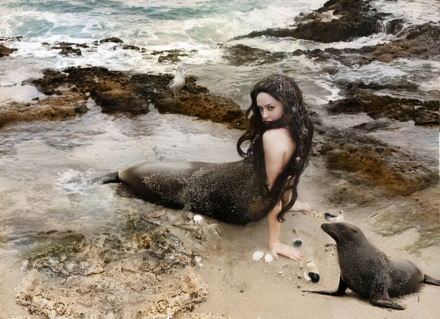 Archivo:Selkie.jpg
