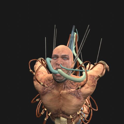 File:BillyFace.jpeg