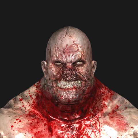 File:WalkerHeadFront.jpeg
