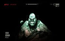 Images (1)