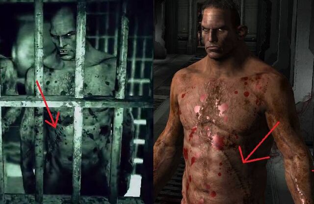 Файл:The Brothers' scars.jpg