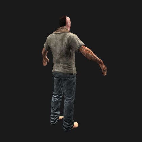 File:PyroPerspBack.jpeg