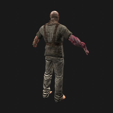 File:Patient5 perspBack.jpeg