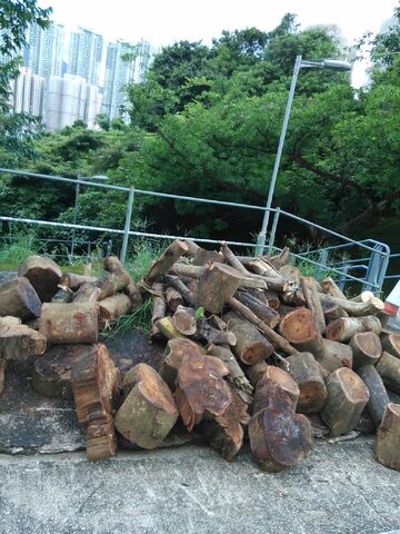 File:木頭 @ 大圍松柏路世界花園來往隆亨邨之樓梯.jpg