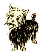 File:IMG 20150202 213736.jpg