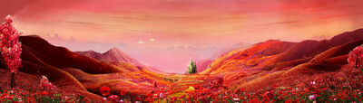 6 poppies comp v029 (00000)