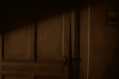 1WOZ EnterOZ2.gif.CROP.original-original