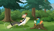 Perry siendo psicólogo de Heinz.png