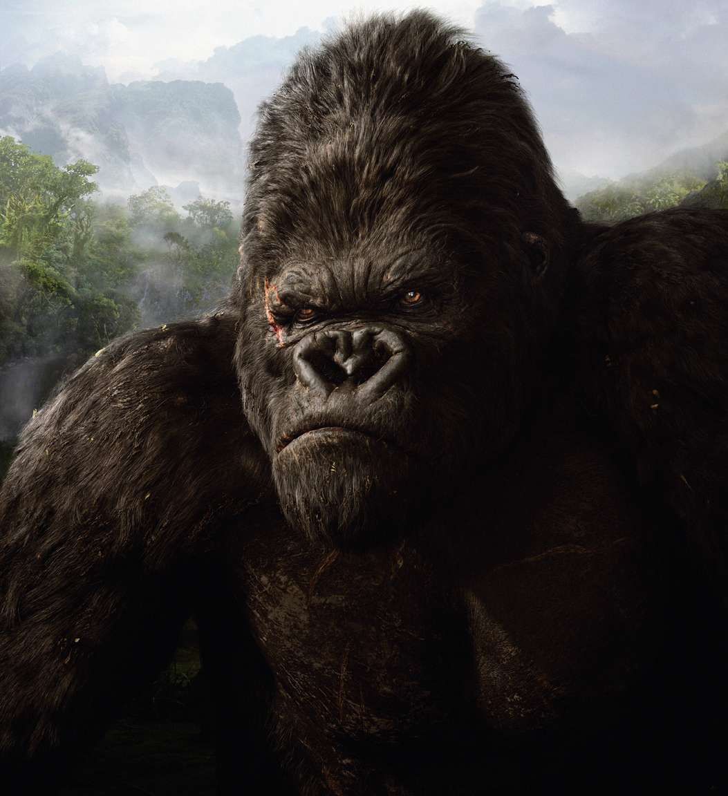 Pictures Of King Kong 2