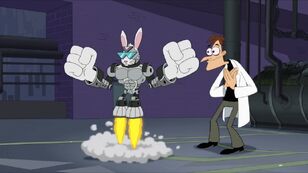 Rabbit031614.jpg