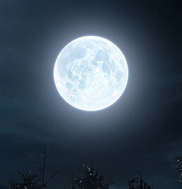 The moon