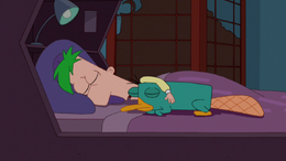 Ferb durmiendo con Perry.png