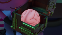 Brain Berry