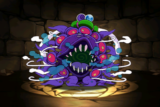 Pet991