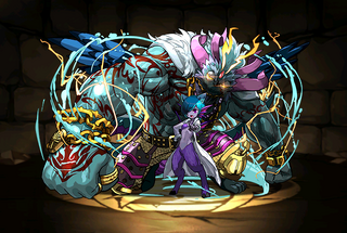 Pet2504