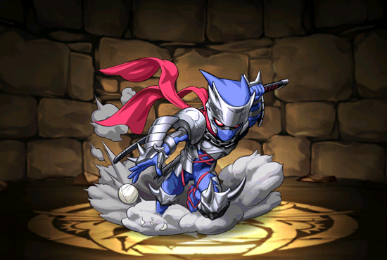 Pet563