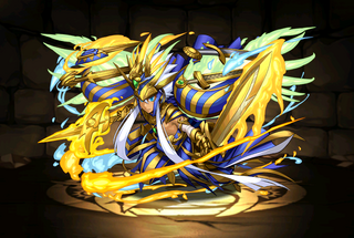 Pet999.png