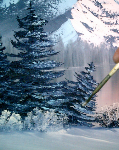 File:Spruce Trees.png