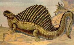 Dimetrodon2