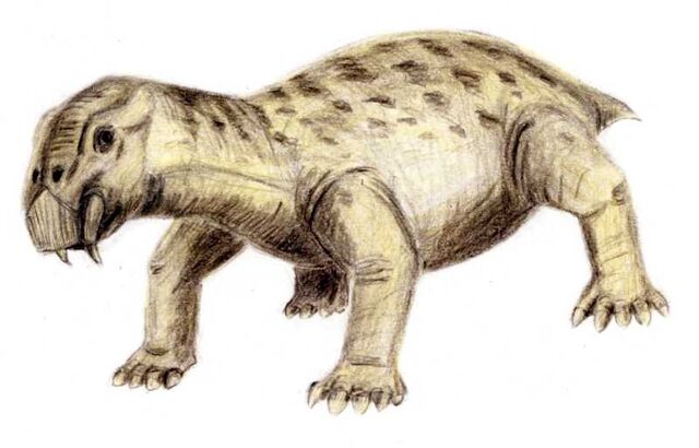 File:Lystrosaurus.jpg